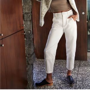 Everlane Utility Barrel Pant